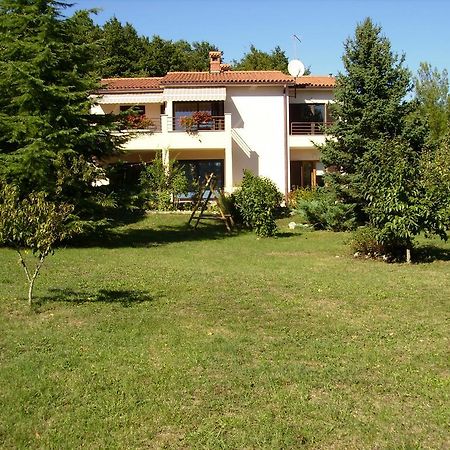 Apartment Neda Z-Velika Okucnica, Besplatni Parking I Opticki Wi-Fi Labin  Bilik gambar